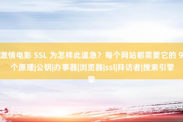 激情电影 SSL 为怎样此遑急？每个网站都需要它的 9 个原理|公钥|办事器|浏览器|ssl|拜访者|搜索引擎