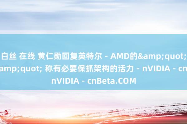 白丝 在线 黄仁勋回复英特尔 - AMD的&quot